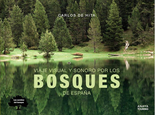 Viaje Visual Y Sonoro Por Los Bosques De España - Hita M...