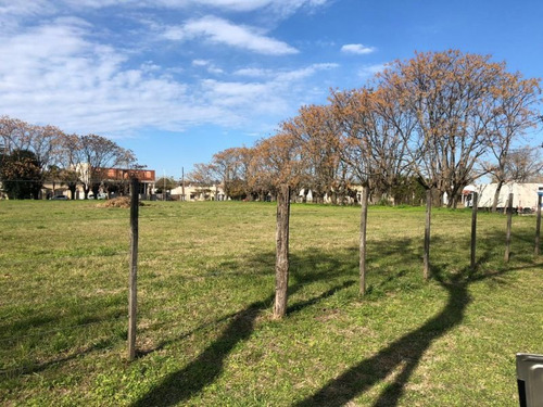 Imagen 2 de 3 de Terreno En Venta En Lobos
