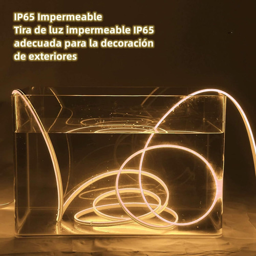Tiras De Led Neón Luz Flexible Unicolor 5 Metros Cortar 12v Blanco Cálido