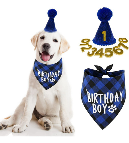 Cumpleaños Para Perros Sombrero Pajarera Bandera De Tiro