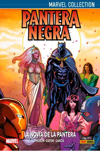 Marvel Collection - Pantera Negra De Hudlin # 02: La Novia D