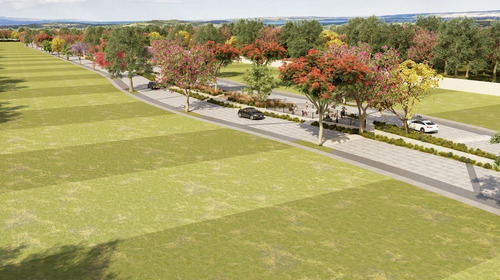 Lotes Residenciales En Venta Entretat En Tixcuytún