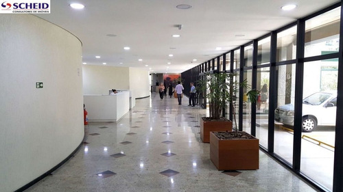 Imagem 7 de 13 de Oportunidade Unica - Mr58706
