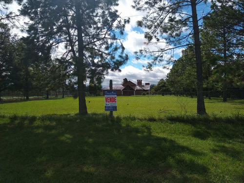 Imagen 2 de 30 de Bellísima Casa En Villa La Rivera