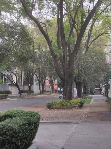 Imagen 9 de 15 de Terreno Polanco.rectangular, Buen Frente. , Cerca De Reforma