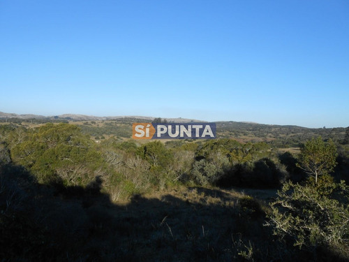 Imagen 5 de 12 de Chacra A La Venta Ruta 39, Camino Cerro Catedral