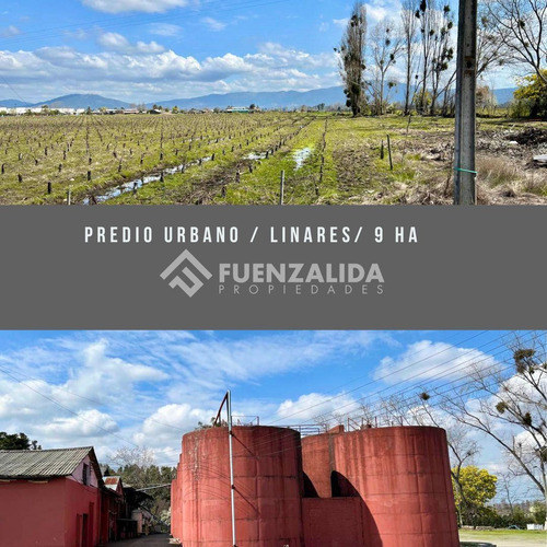 Sitio En Venta En San Javier