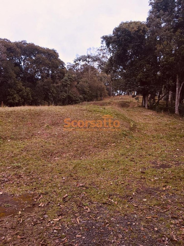 Imagem 24 de 27 de Chácara À Venda, Centro, São Lourenço Da Serra - 4737