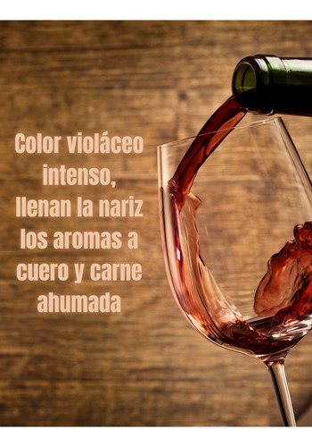Vino Luca Double Select Syrah Laura Catena Mendoza