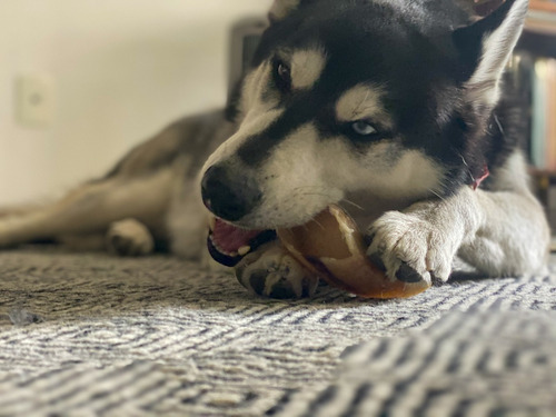 Pezuña De Res Masticable Perros Premios Juguete Carnaza 100p
