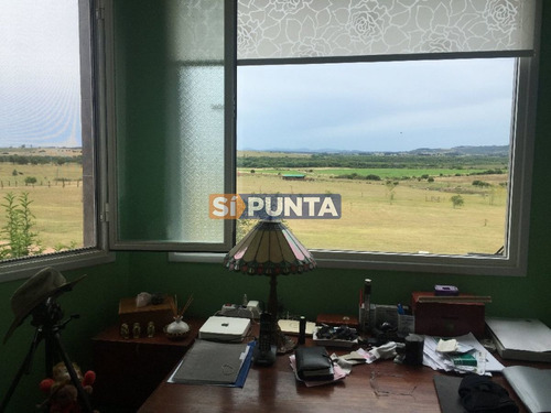 Imagen 3 de 30 de Chacra 5 Has En Muy Cerca De Punta Ballena A Pocos Km De La Ruta 9 Y De La Ruta 12 Cuenta Con Muy Buena Casa. Consulte!!!!!!!