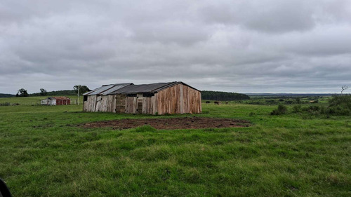Venta Campo 107 Hectareas Minas De Corrales