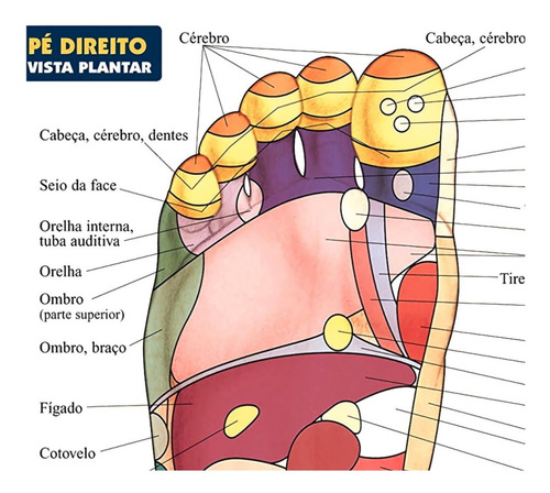 Imagem 3 de 3 de Poster Reflexologia Podal 60x80cm Pontos De Pressão Dos Pés