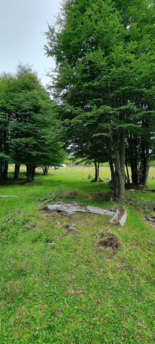 Sector Cerro Galera, Coyhaique (71829)