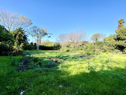 Imagen 6 de 19 de Espectacular Terreno Lote En Venta En Martinez Calle Semi Cortada