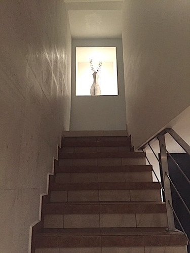 Imagen 6 de 14 de Casa En Venta En Alvaro Obregón