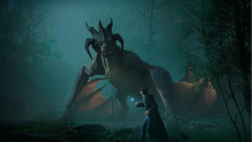 Imagen 6 de 9 de Hogwarts Legacy Standard Edition Warner Bros. PS5 Físico