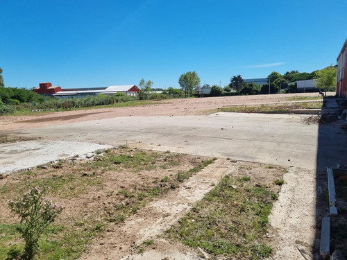 Imagen 17 de 26 de Depósito -camino Tomkinson Próximo Luis Batlle Berrescamino Tomkinson Próximo L. Batlle Berres, Predio De 5 Hectareas Y 1850 M2 De Deposito !!