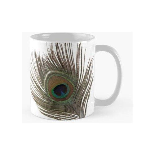 Taza Pluma De Pavo Real Calidad Premium