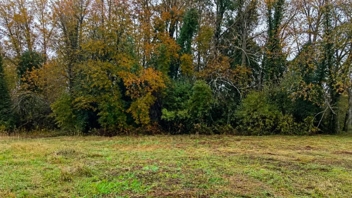 Parcela 5.000m2 | Sector Puquereo | Eje Freire-villarrica