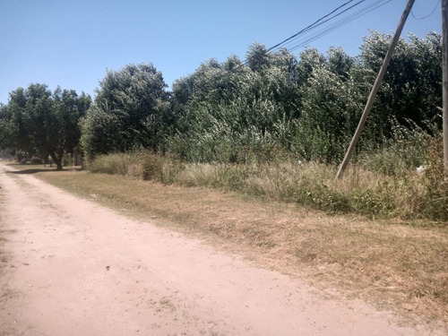 Imagen 2 de 3 de Venta Terreno En Esquina De San Bernardo!