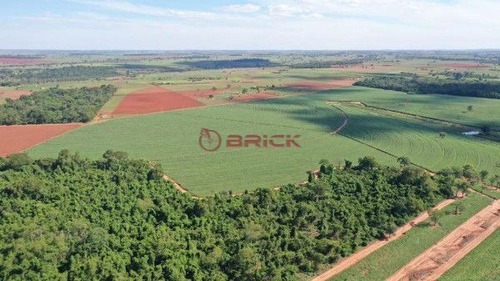 Imagem 4 de 4 de Fazenda De Cana De Açúcar A Venda Em Indiaporã, São Paulo, Com 237 Hectares, Por R$ 20 Milhões . - Fa00060 - 70608346