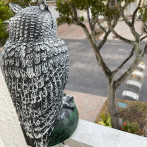 // Búhos Para Espantar Pájaros Búho Señuelo Ardillas