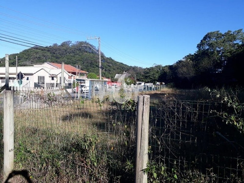 Imagem 6 de 15 de Terreno Comercial - Morro Das Pedras - Ref: 1561 - V-hi72388