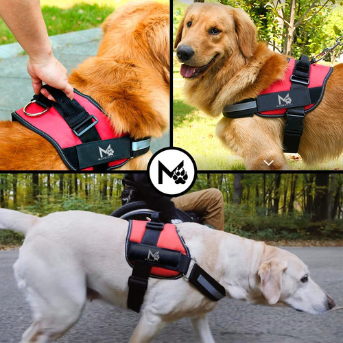 Imagen 7 de 9 de Super Combo / Cama Para Perros 2xl + Pechera Xl + Paseador