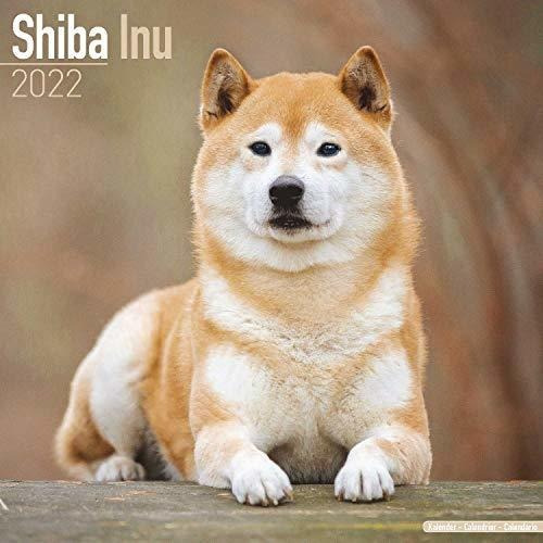 Book : Shiba Inu Calendar - Dog Breed Calendars - 2021 -...
