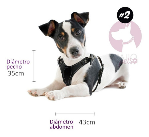 Pechera De Piel #2 Café Conjunto De 4 Productos Macho