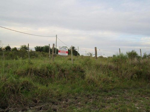 Imagen 6 de 18 de Campo Pegado A Tala, 22 Hás