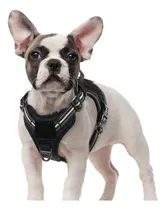 Comprar Arnés Táctico Para Perros Rabbitgoo Sin Tirones Para Perros