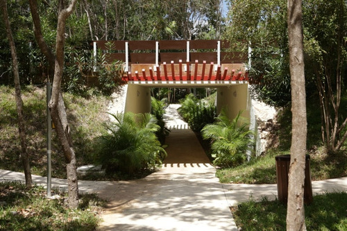 Imagen 9 de 18 de Terreno En Senderos Ciudad Mayakoba