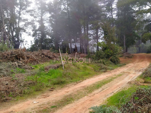 Sitio En Venta De 1500 M2 Camino A Puertecillo, Navidad