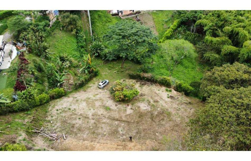 Se Vende Lote Pereira, Risaralda