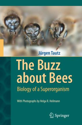 Libro The Buzz About Bees : Biology Of A Superorganism - ...