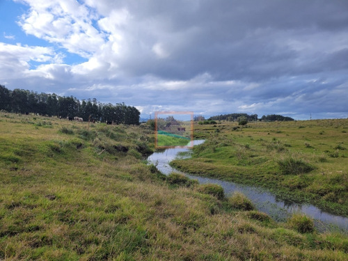Imagen 8 de 25 de 20has De Campo Sobre Ruta 12 Pueblo Edén