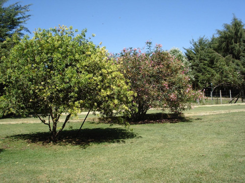 Imagen 4 de 23 de 1 Hectarea - Duggan - Con Casita - Pileta Y Arboleda