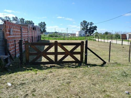 Imagen 2 de 6 de Lote Bario Siempre Verde