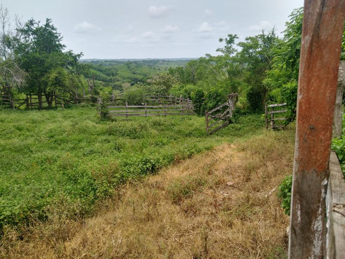 Venta Rancho 109 Has Autopista A Tampico En Tamiahua Veracruz