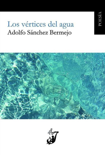 Vertices Del Agua,los - Sanchez Bermejo, Adolfo