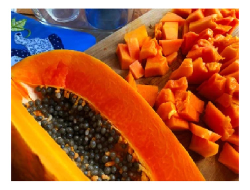 300 Semillas De Papaya Passion Red