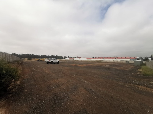 Imagen 4 de 7 de Se Arrienda Terrenos Industriales Desde 5.000 M2 Y Bodegaje