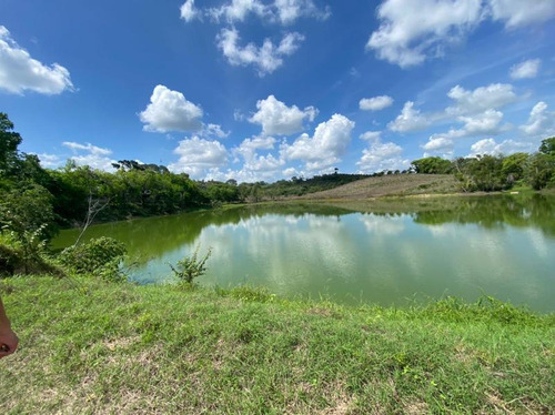 Venta Rancho 99 Hectareas Ocotepec Tihuatlan Veracruz