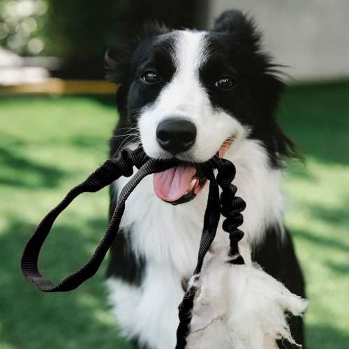 Juego De Collar Táctico Para Perro, Juego De Collar Y Correa