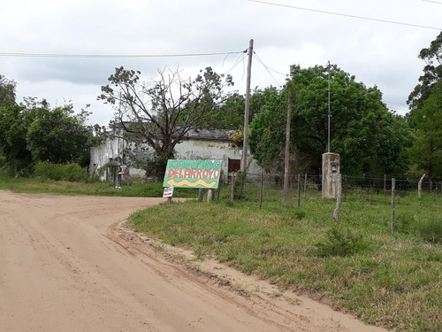 Imagen 3 de 14 de Campo En Venta (camping Del Arroyo ) - Colon
