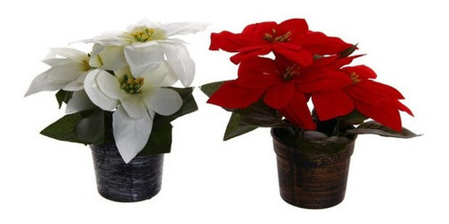 Planta Poinsetia Con Pote Flor Roja / Blanca