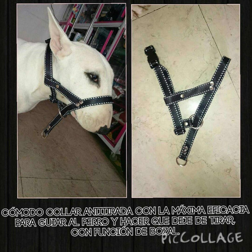 Collar Halti