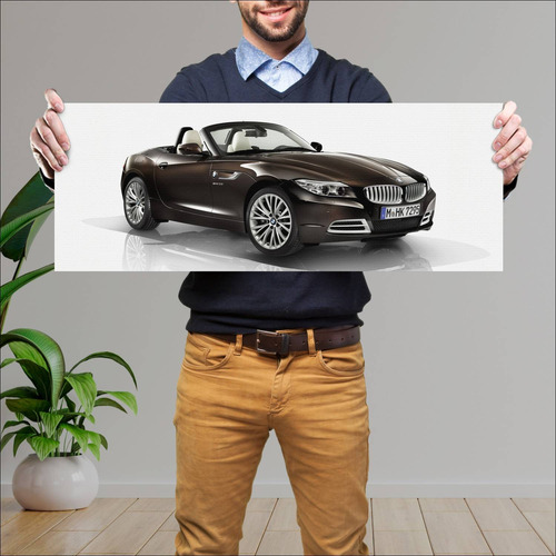 Cuadro 30x80cm Auto 2013 Bmw Z4  109